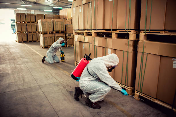 Professional Pest Control in Rockville, MD