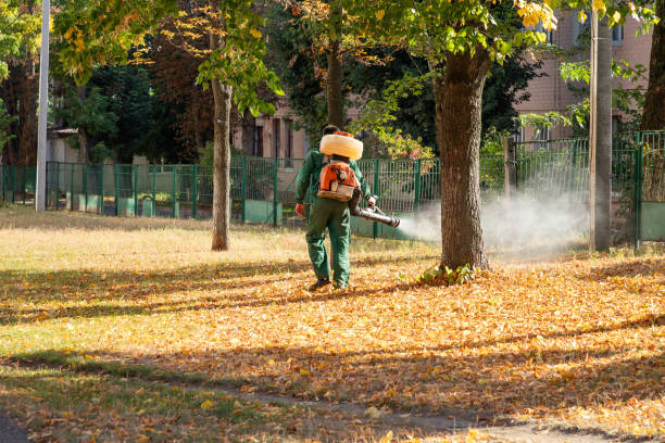 Rockville, MD Pest Control Pros